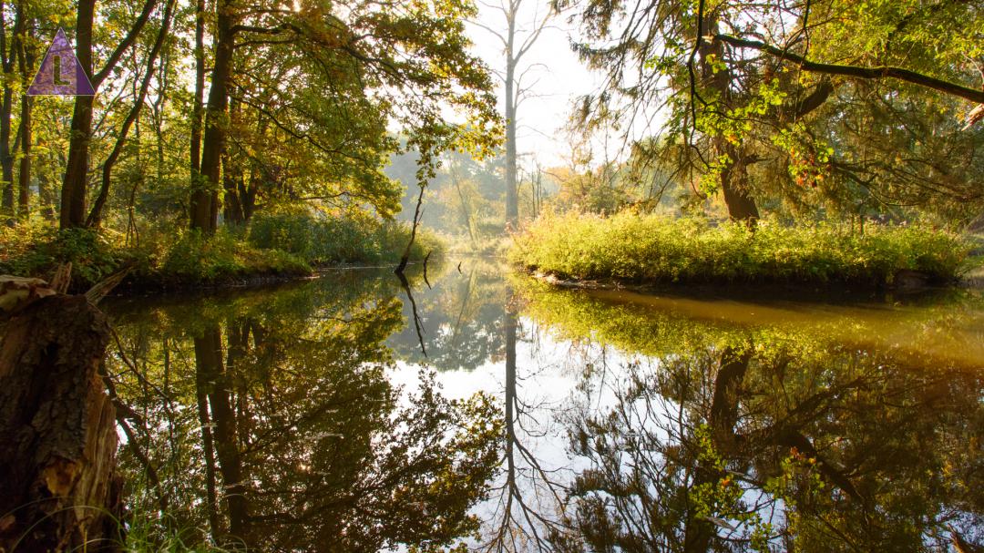 de Leubeek in natuurgebied Het Leudal