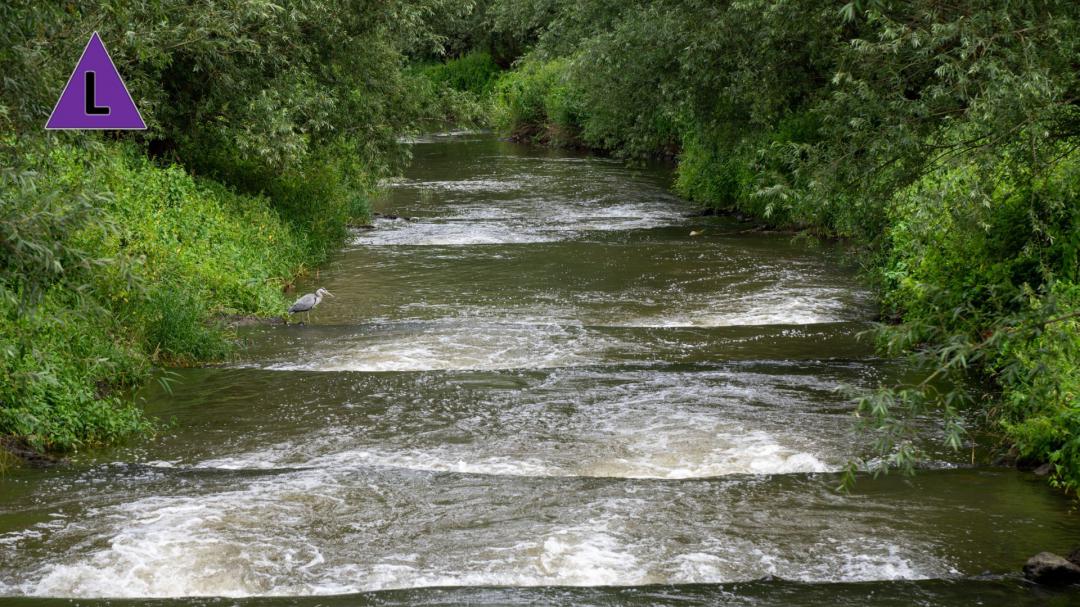 vistrap bij stuw Linne voor de droogzetting vistrap bij stuw Linne voor de droogzetting