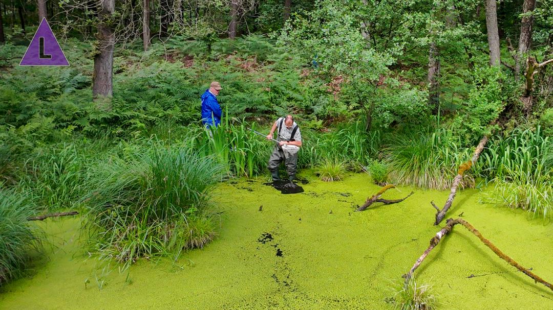 Sfeerverslag middag monsters nemen met Macrofauna werkgroep Limburg