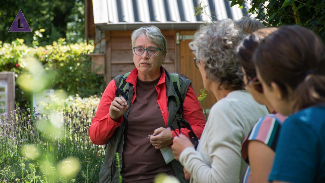 Kruidenwandeling in De Groote Peel