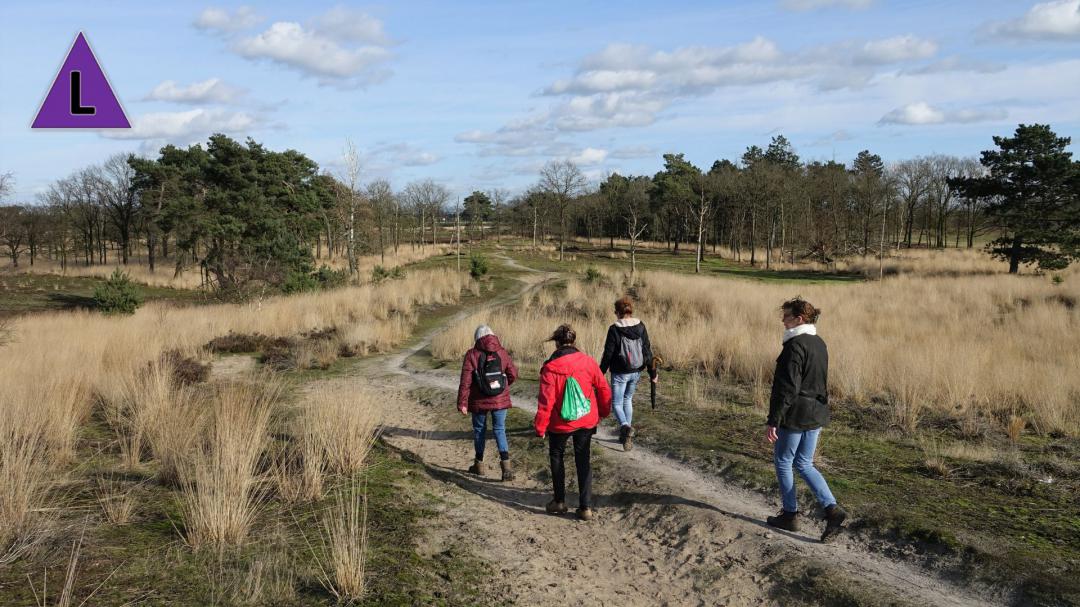 Stiltewandeling in De Groote Peel