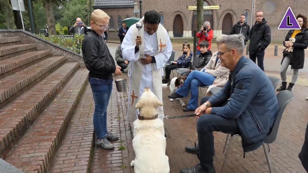 Dierenzegening bij de Sint-Martinuskerk in Horn