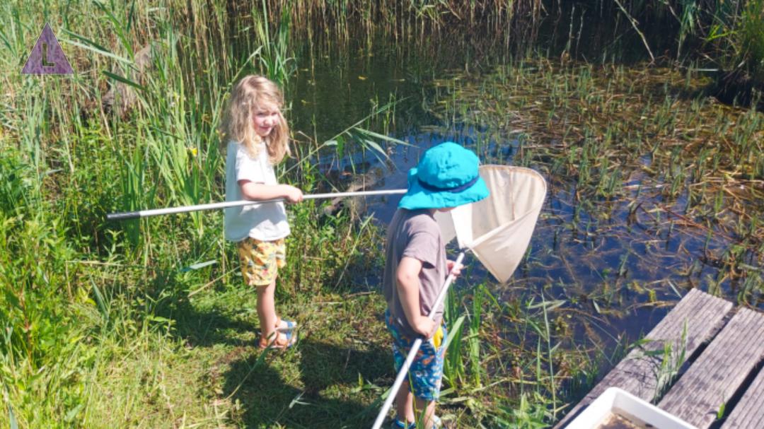 Slootjesdag 2024 - ontdek het waterleven in het Leudal
