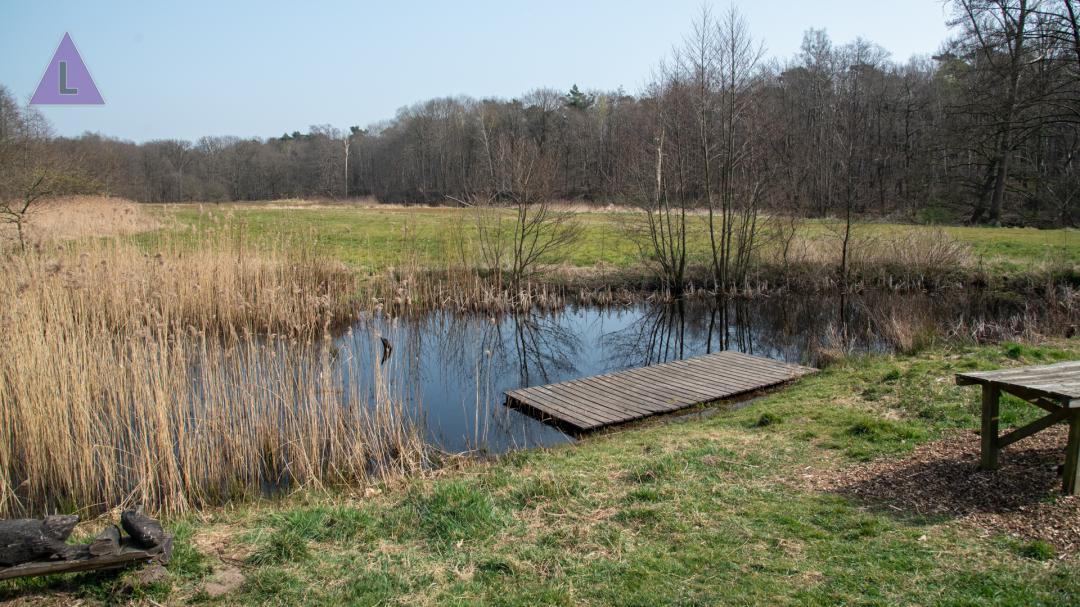 waterpoel achter Bezoekerscentrum Leudal in Haelen