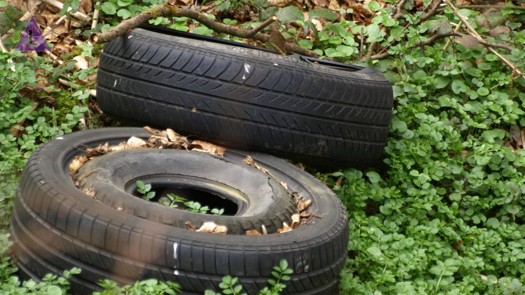 Zeeslak Regan Bezit Drugsafval en autobanden gedumpt in Leudal - Delta Limburg