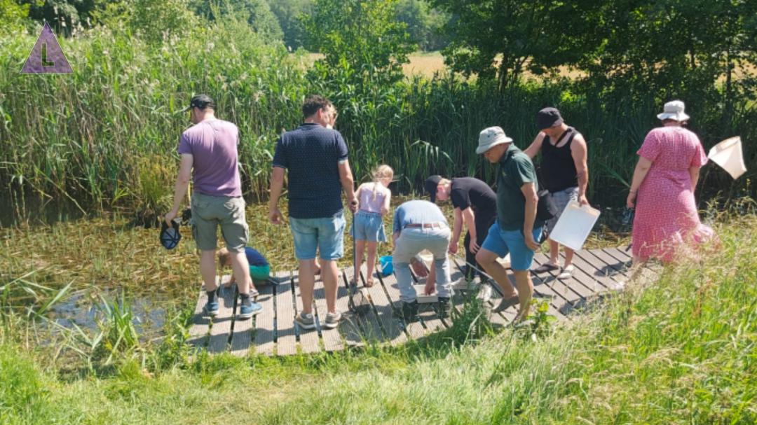 Slootjesdag 2025 - ontdek het waterleven in het Leudal