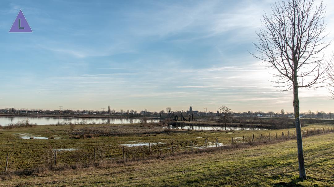 Eén van de waterplassen op het Eiland in de Maas in de gemeente Maasgouw