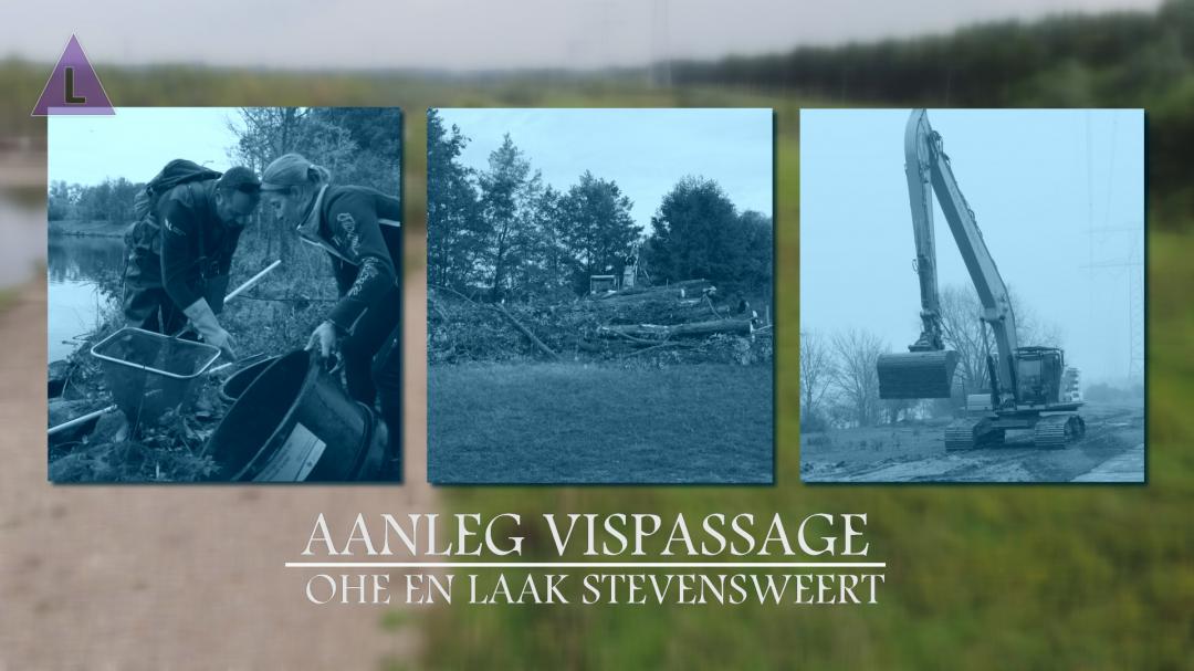 Drieluik over aanleg vispassage bij Stevensweert - #1