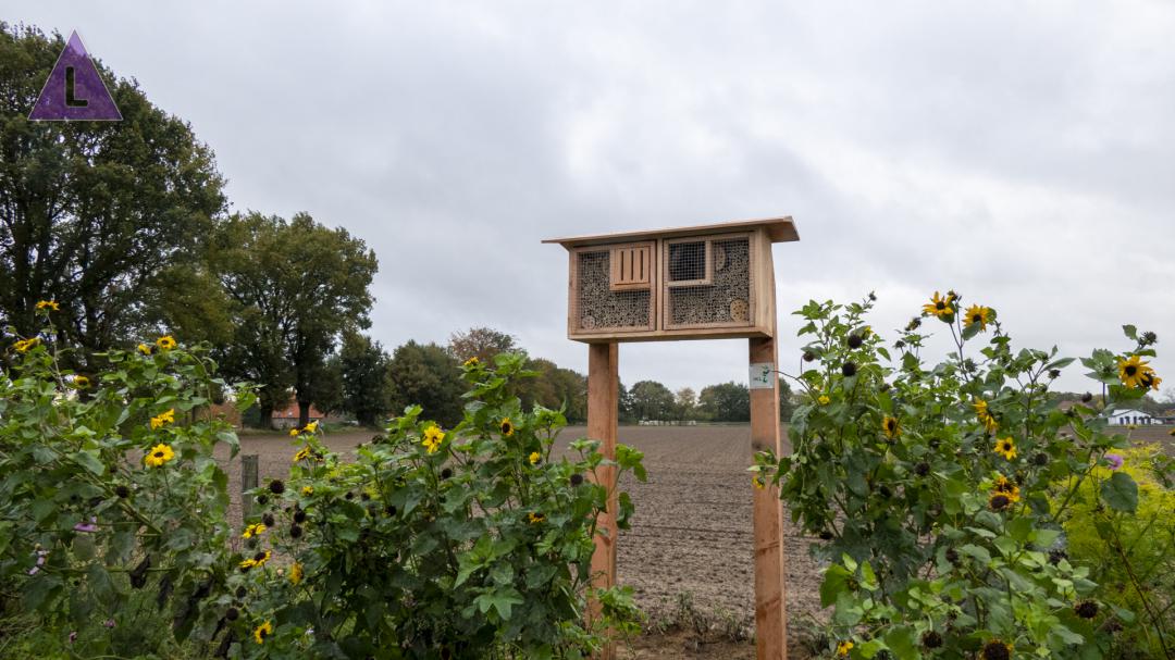 Nieuw hotel gerealiseerd in Nunhem, maar dan voor insecten
