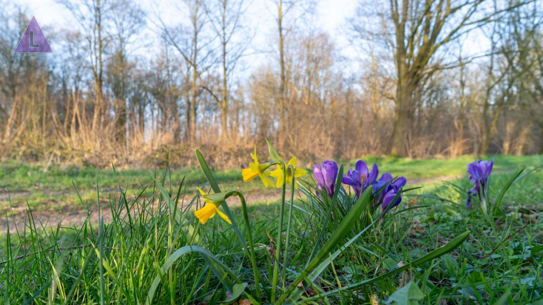 lente in het Leudal