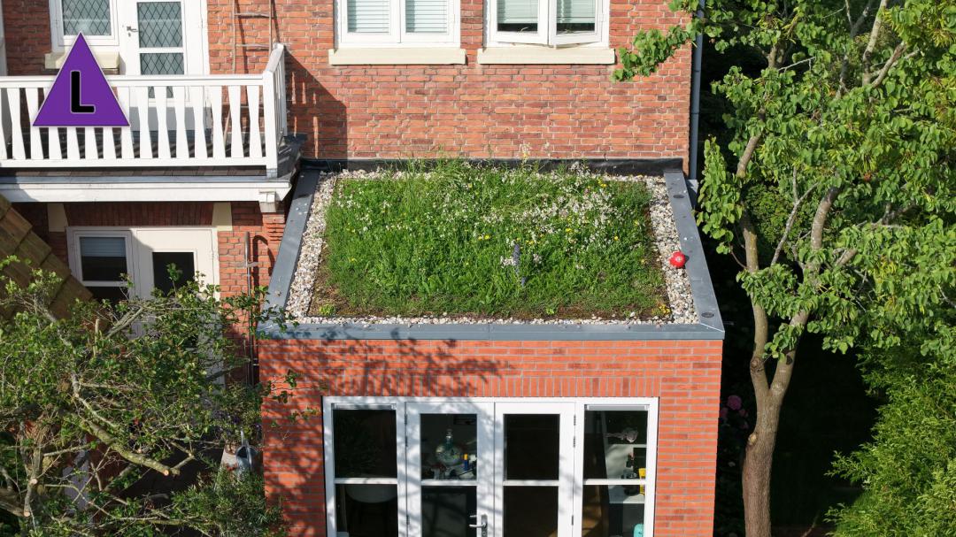 Gemeente Roermond start subsidieregeling voor groene daken