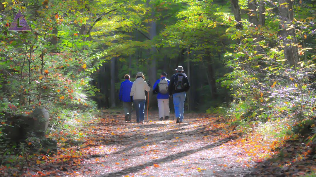  samen wandelen in het bos