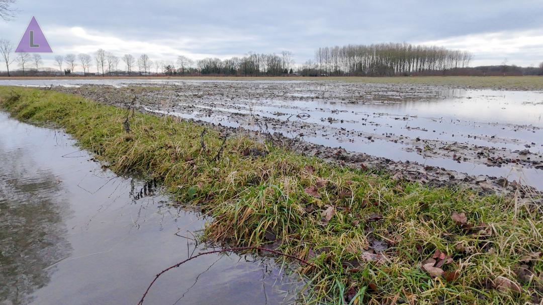 Subsidieregeling voor aanpak wateroverlast in uw omgeving