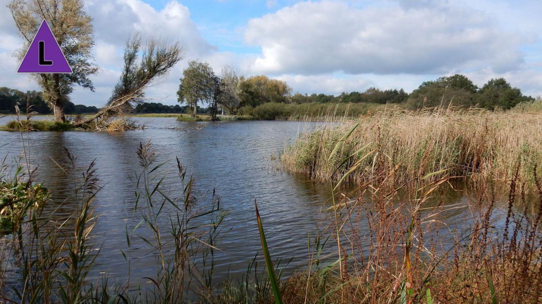 Natuurgebied De Banen nabij Nederweert-Eind Natuurgebied De Banen nabij Nederweert-Eind
